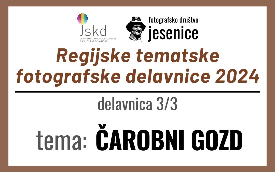 RTFD 2024: tema ČAROBNI GOZD / Regijske tematske fotografske delavnice 2024 / izbrane fotografije